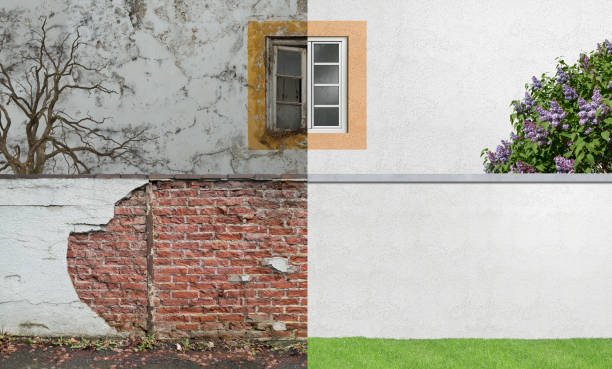 Mold Documentation for Insurance Claims in Mart, TX