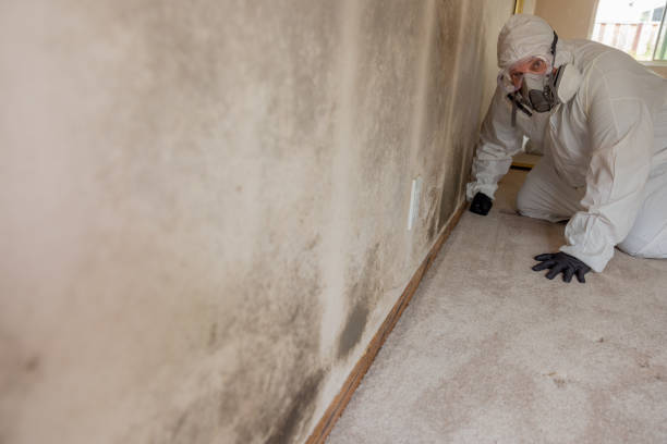 Best Emergency Mold Remediation  in Mart, TX